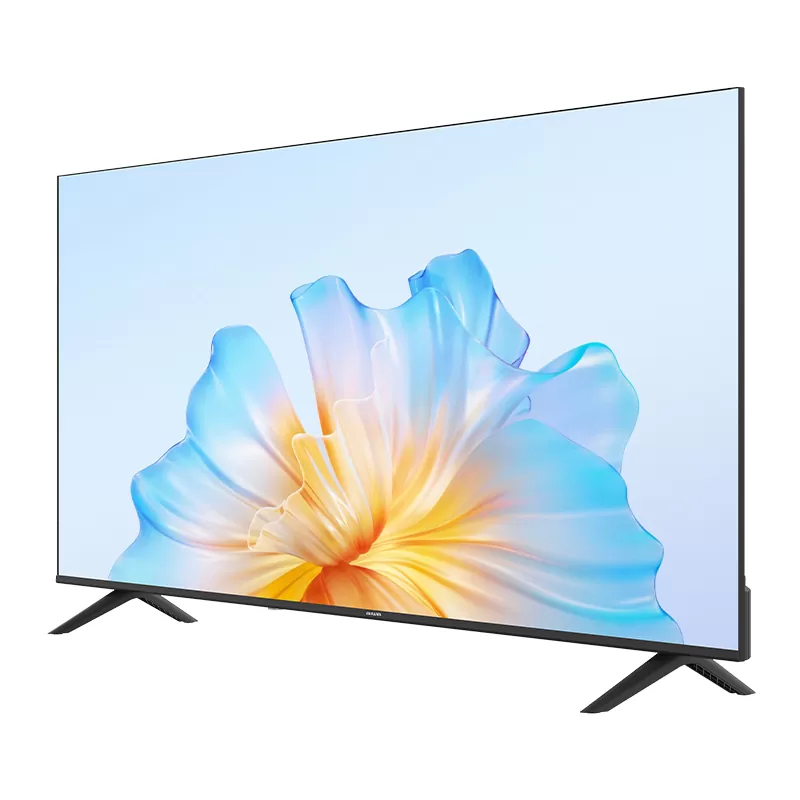 Télévision aiwa 55 pouces DLED 55N24