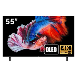 Télévision aiwa 55 pouces DLED 55N24